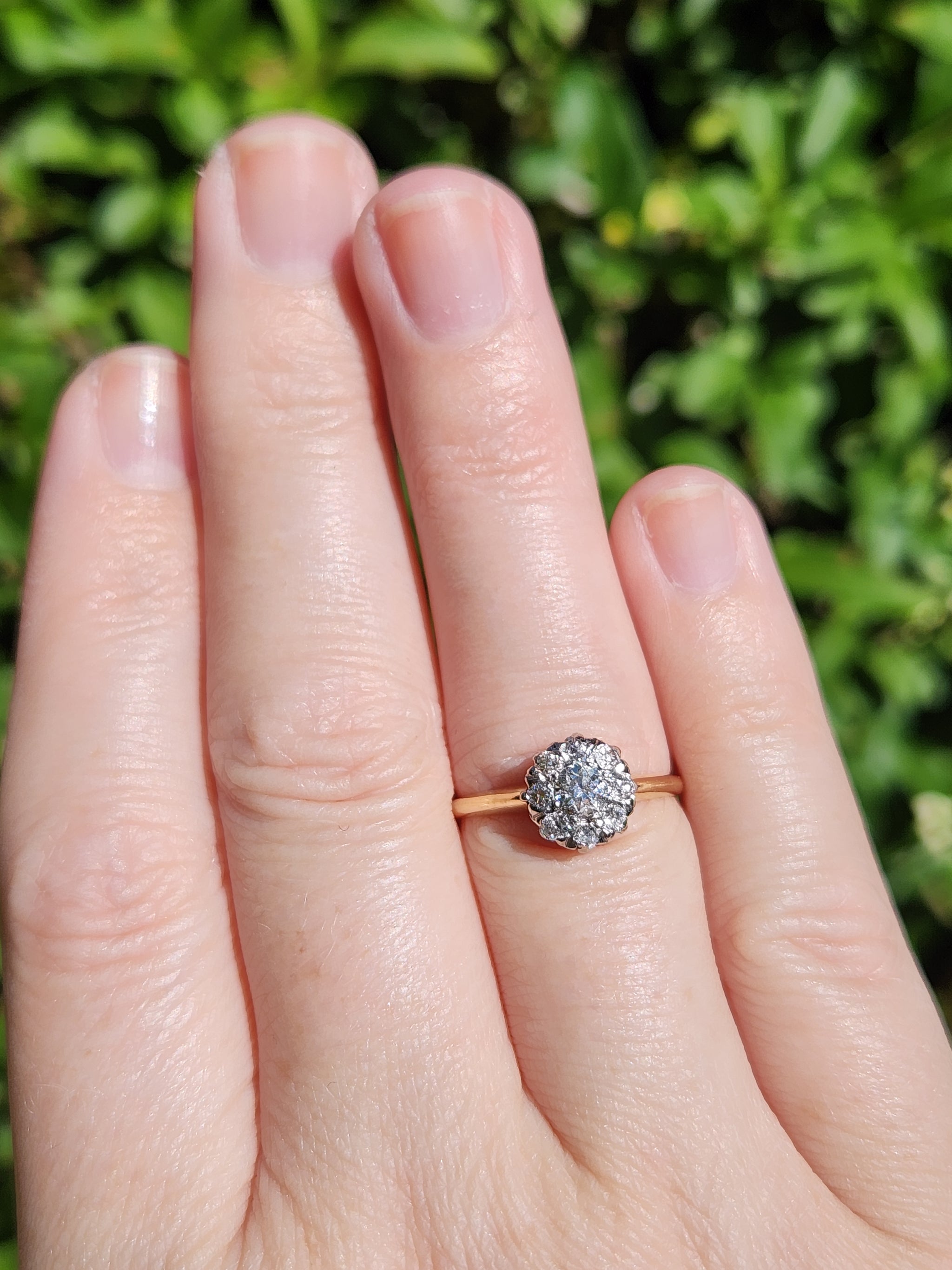Edwardian Old European Cut Diamond Cluster Ring in Platinum and 14k Yellow Gold
