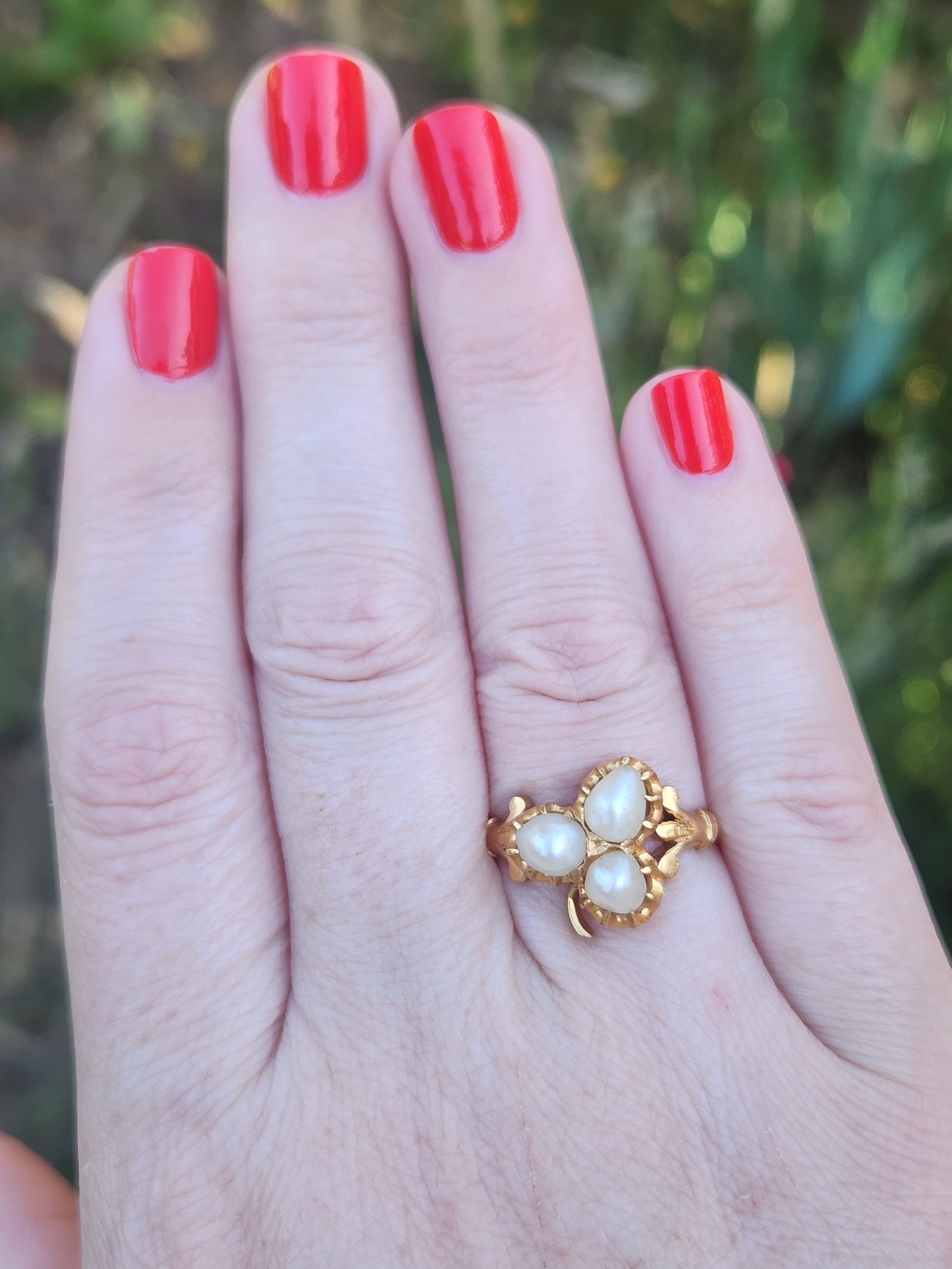 Antique Victorian Triple Pearl Clover Ring in 20k Yellow Gold