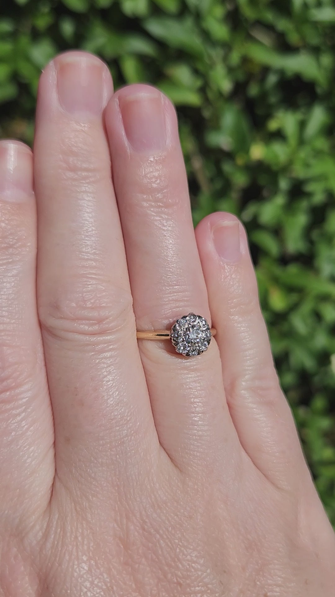 Edwardian Old European Cut Diamond Cluster Ring in Platinum and 14k Yellow Gold